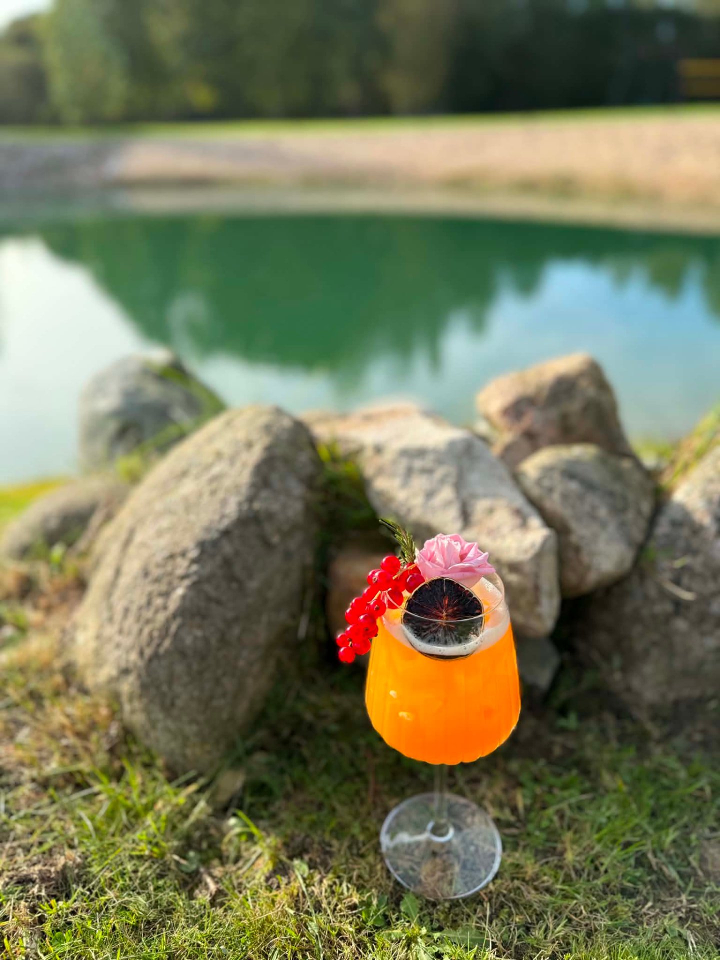 Oranžinis kokteilis su uogomis ir gėle prie ežero