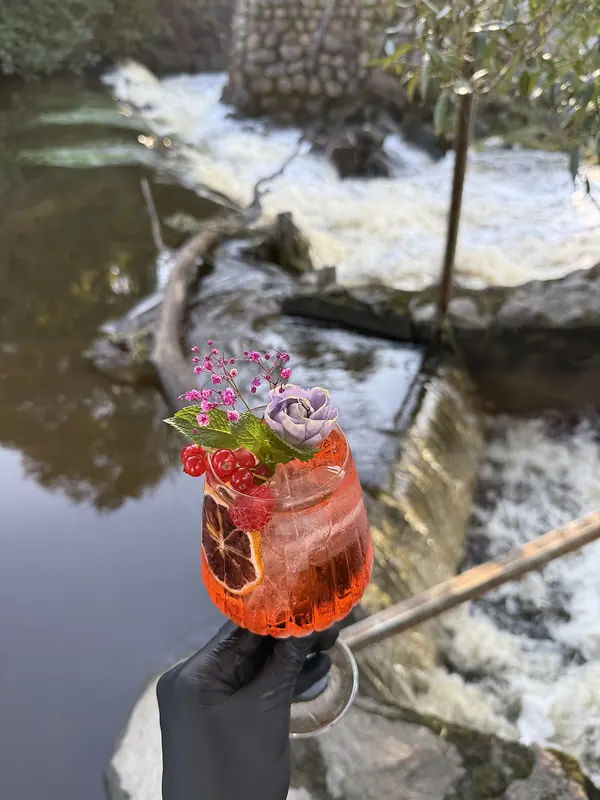 Spritz kokteilis su serbentais ir gėlėmis prie krioklio